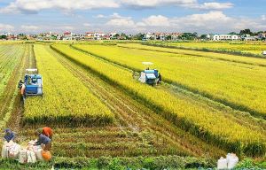 Việt Nam phấn đấu không còn hộ nghèo từ năm 2050